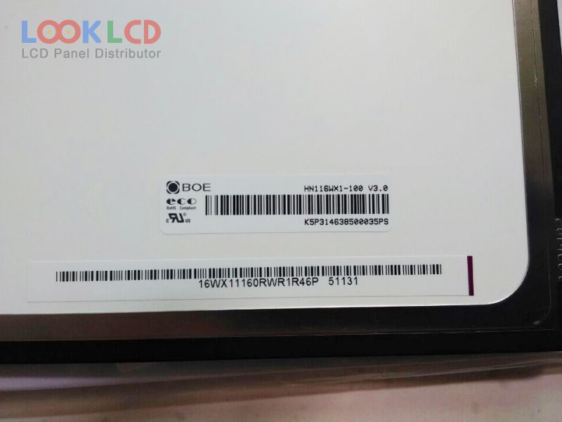 HN116WX1-100