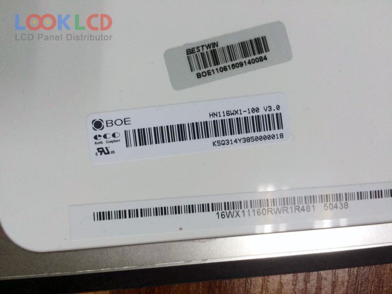 HN116WX1-100