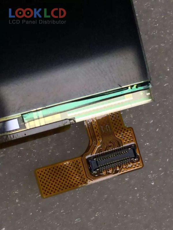 E555HBM2