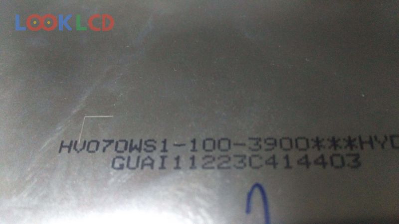 HV070WS1-100
