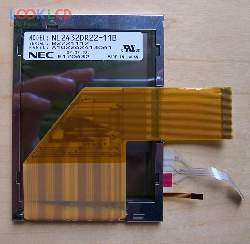 NL2432DR22-11B