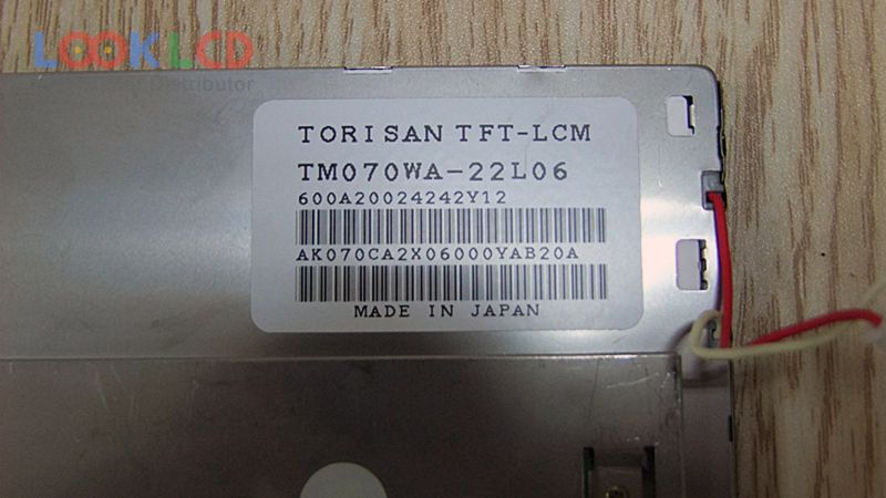 TM070WA-22L06