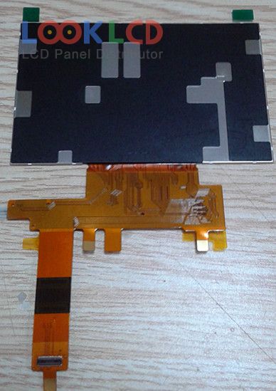 AMS495QA01