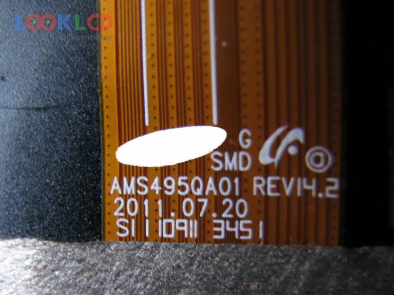 AMS495QA01