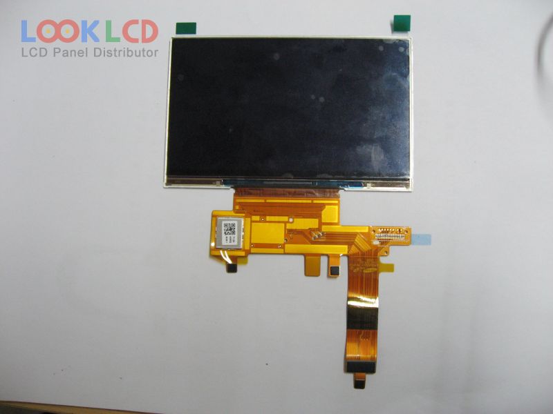 AMS495QA04
