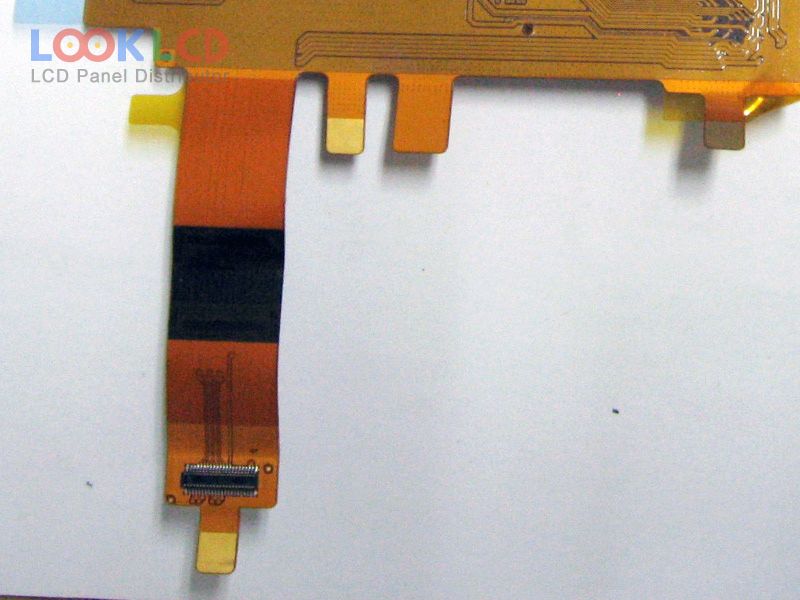 AMS495QA04